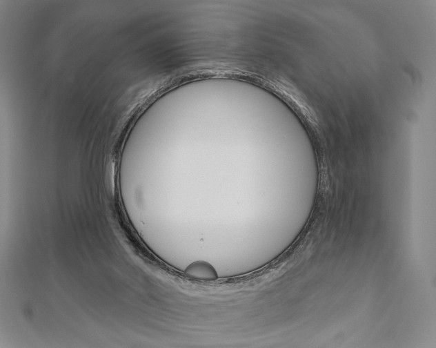 X0000110960014200906191059