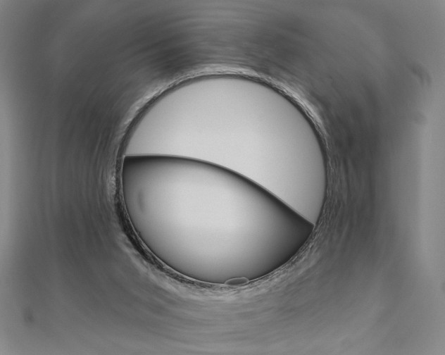 X0000110960015200906191059