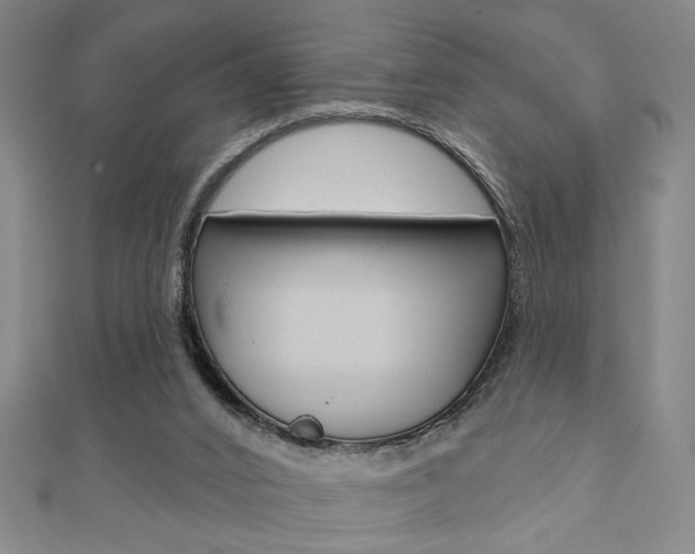 X0000110960016200906191059
