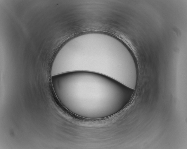 X0000110960017200906191059