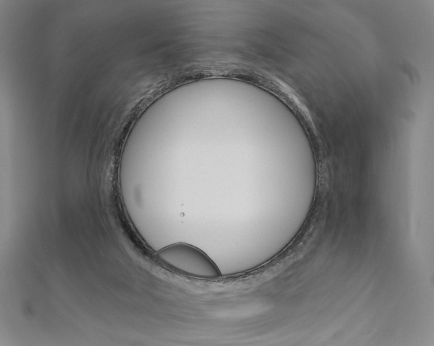 X0000110960018200906191059