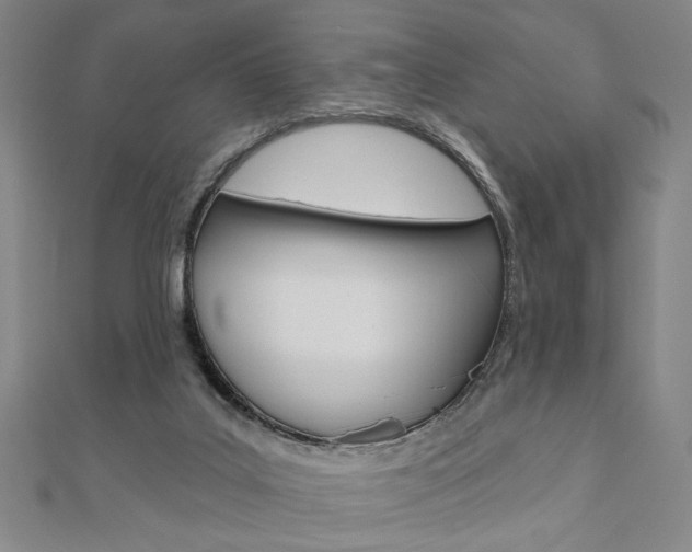 X0000110960019200906191059