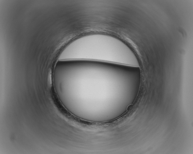 X0000110960020200906191059