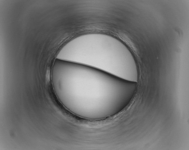 X0000110960021200906191059