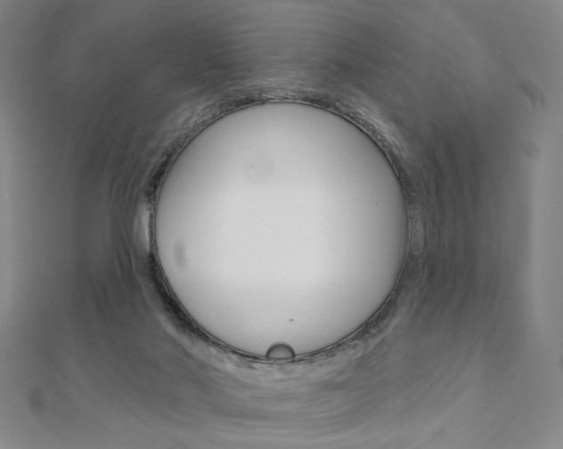 X0000110960022200906191059