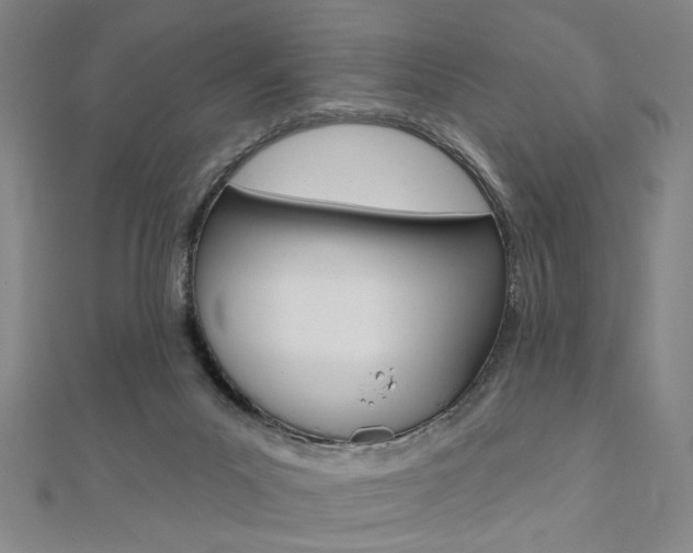 X0000110960023200906191059