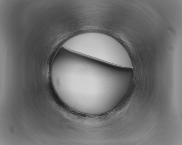 X0000110960024200906191059