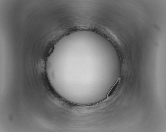 X0000110960025200906191059