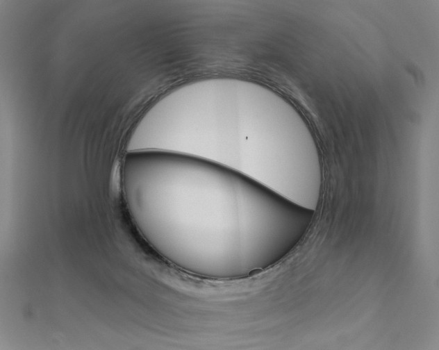 X0000110960027200906191059
