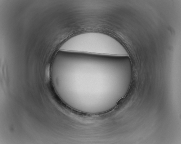X0000110960028200906191059