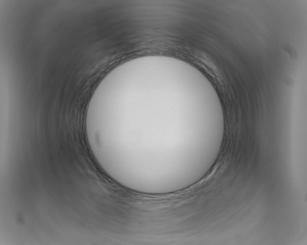X0000110960029200906191059