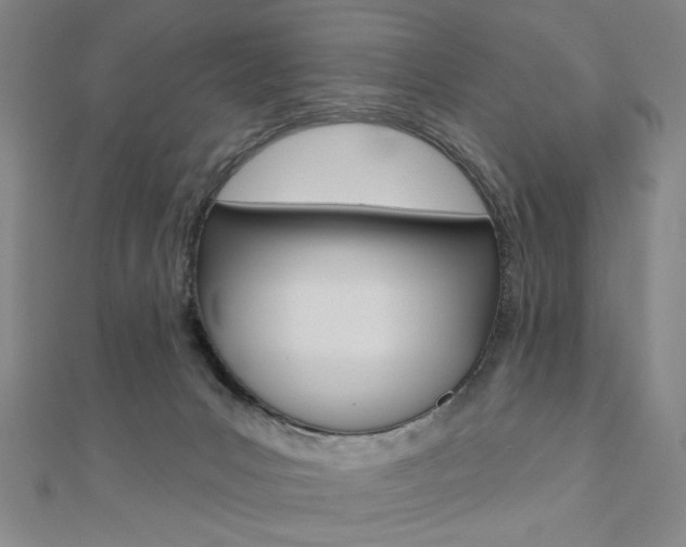 X0000110960031200906191059