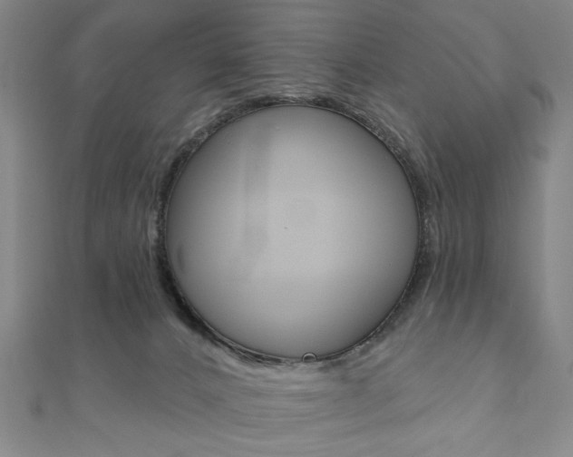 X0000110960032200906191059