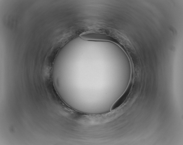 X0000110960033200906191059