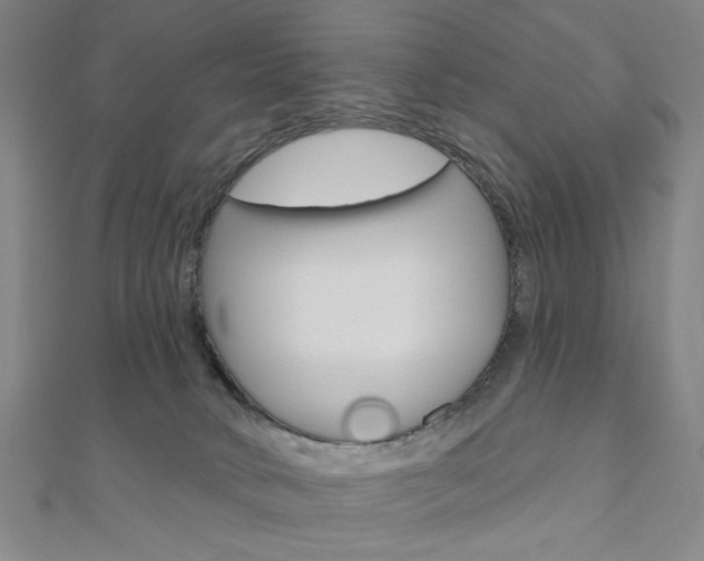 X0000110960034200906191059