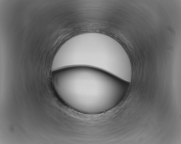 X0000110960035200906191059