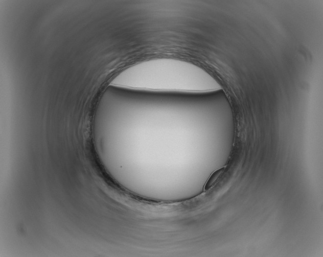X0000110960036200906191059