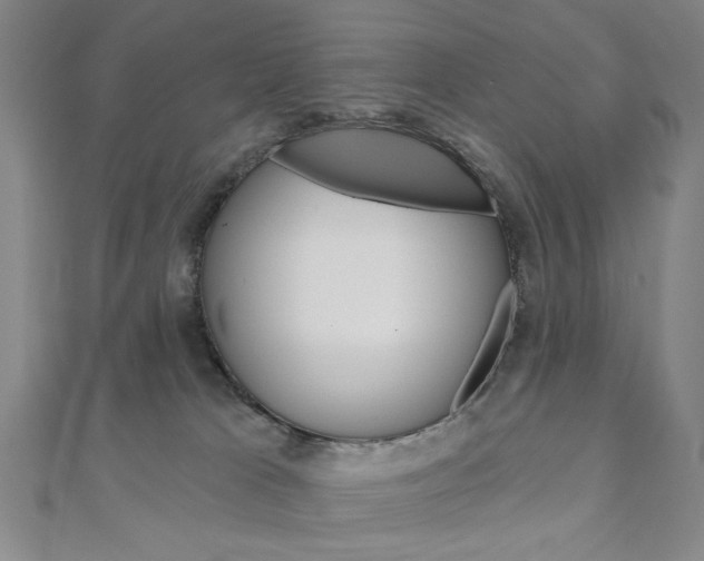 X0000110960037200906191059