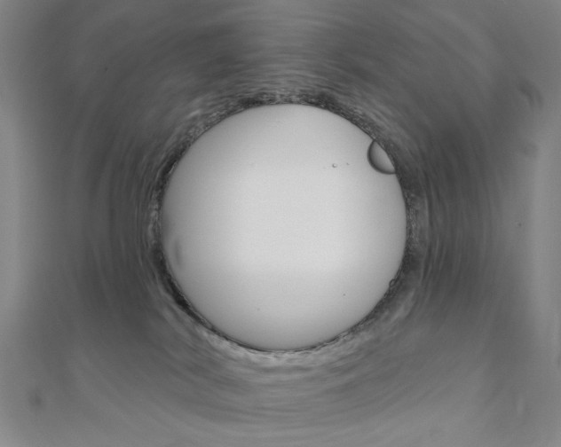 X0000110960038200906191059