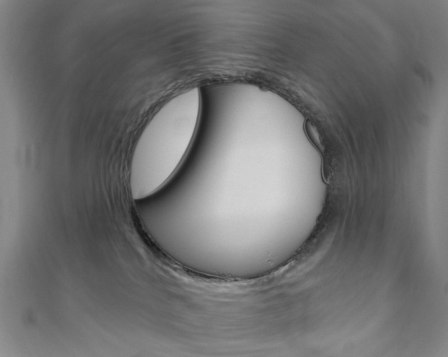 X0000110960040200906191059