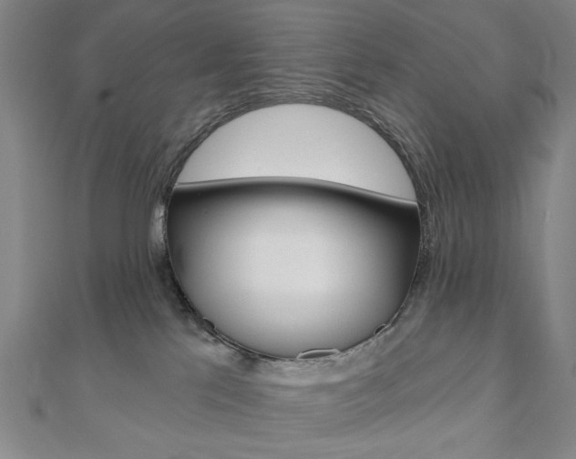 X0000110960041200906191059