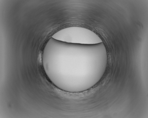 X0000110960042200906191059