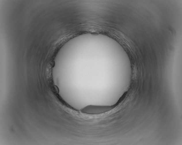 X0000110960043200906191059
