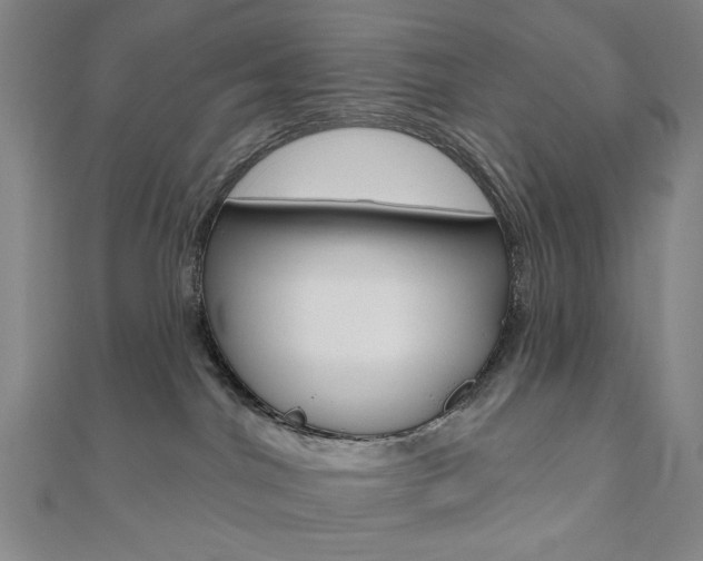 X0000110960044200906191059