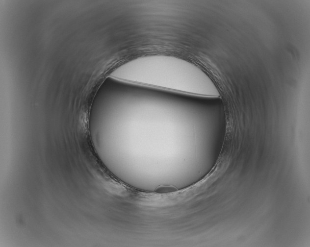 X0000110960045200906191059