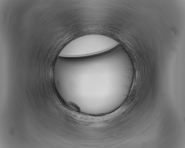 X0000110960048200906191059