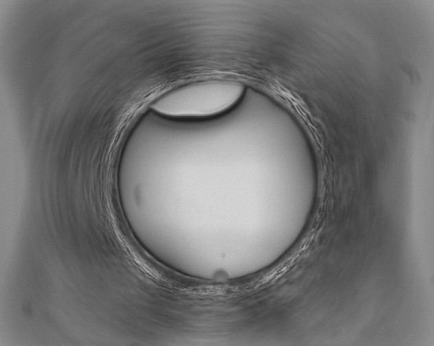 X0000110960049200906191058