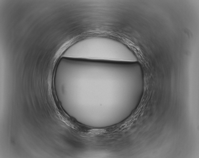 X0000110960051200906191058