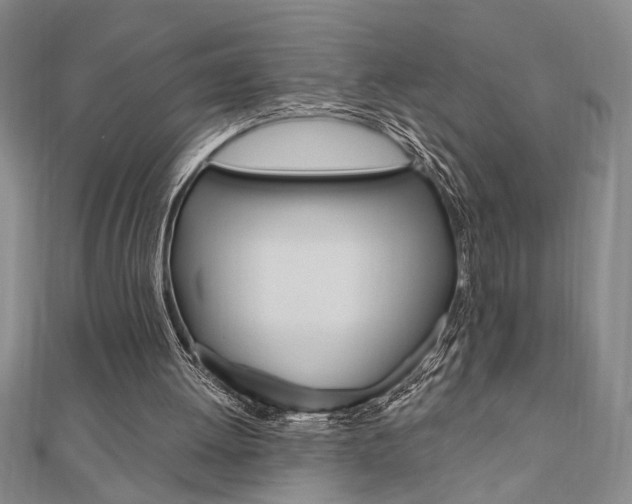 X0000110960052200906191058