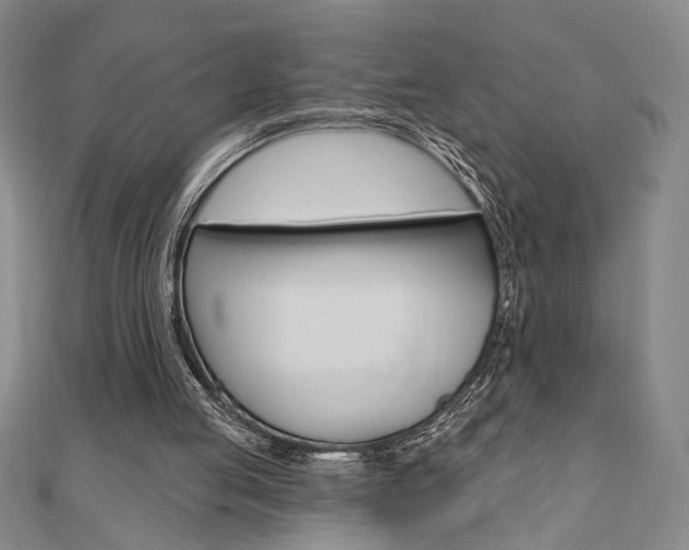 X0000110960053200906191058