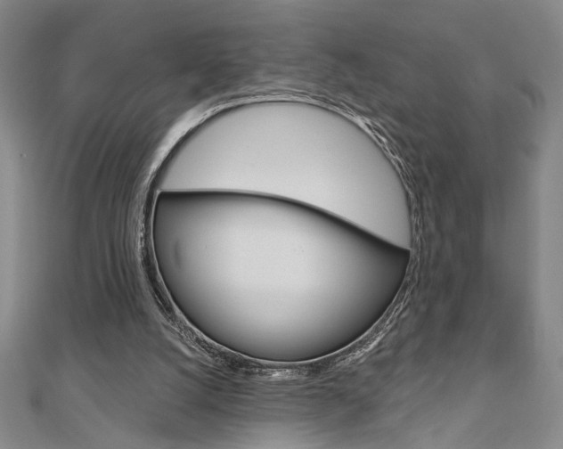 X0000110960056200906191058