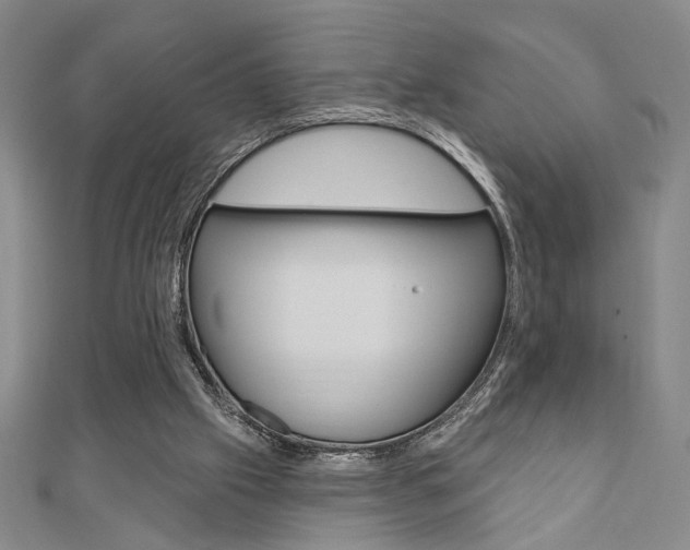 X0000110960057200906191058