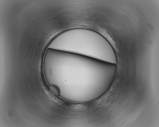 X0000110960058200906191058