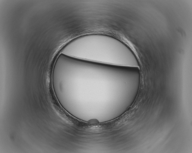 X0000110960059200906191058