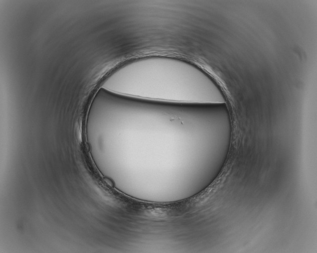 X0000110960062200906191058