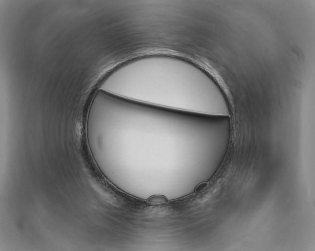 X0000110960063200906191058