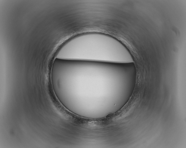 X0000110960064200906191058