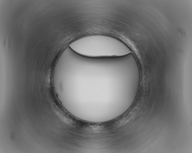X0000110960065200906191058