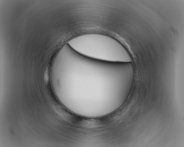 X0000110960069200906191058