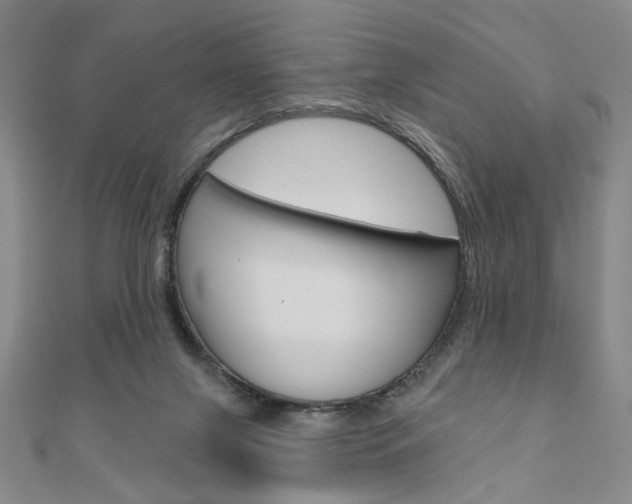 X0000110960071200906191058