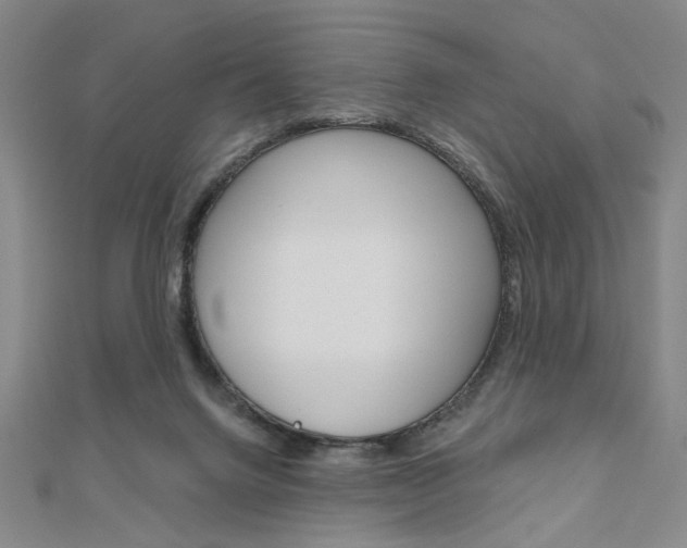 X0000110960072200906191058