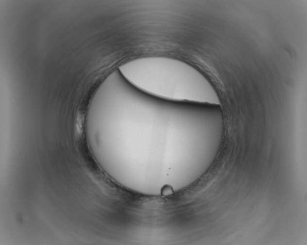 X0000110960075200906191058
