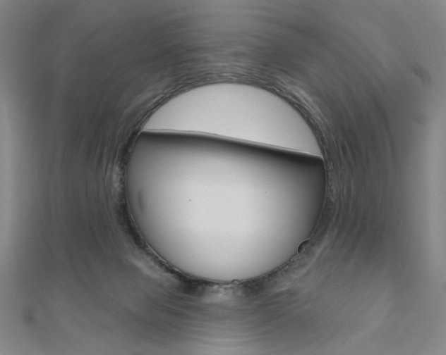 X0000110960077200906191058