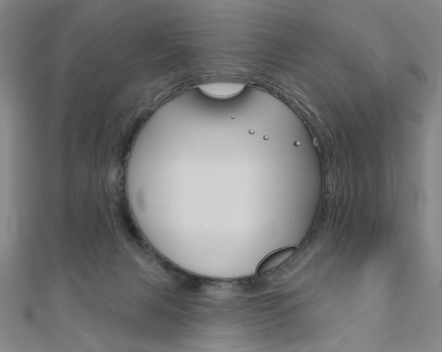 X0000110960079200906191058