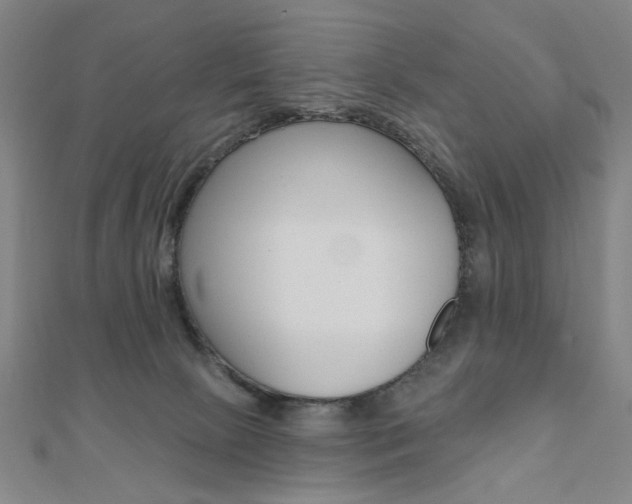 X0000110960081200906191058