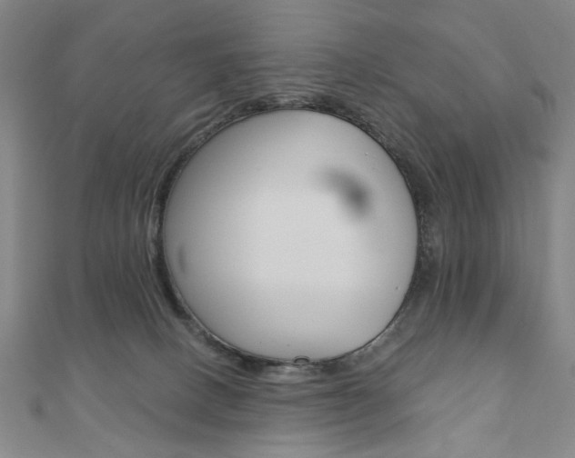 X0000110960082200906191058